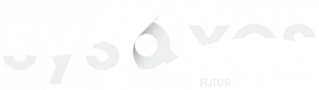 Sysaxes